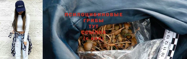 spice Балабаново