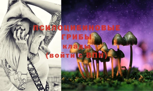 spice Балабаново