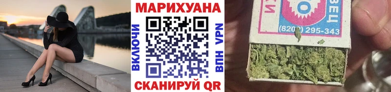 Конопля OG Kush Пересвет